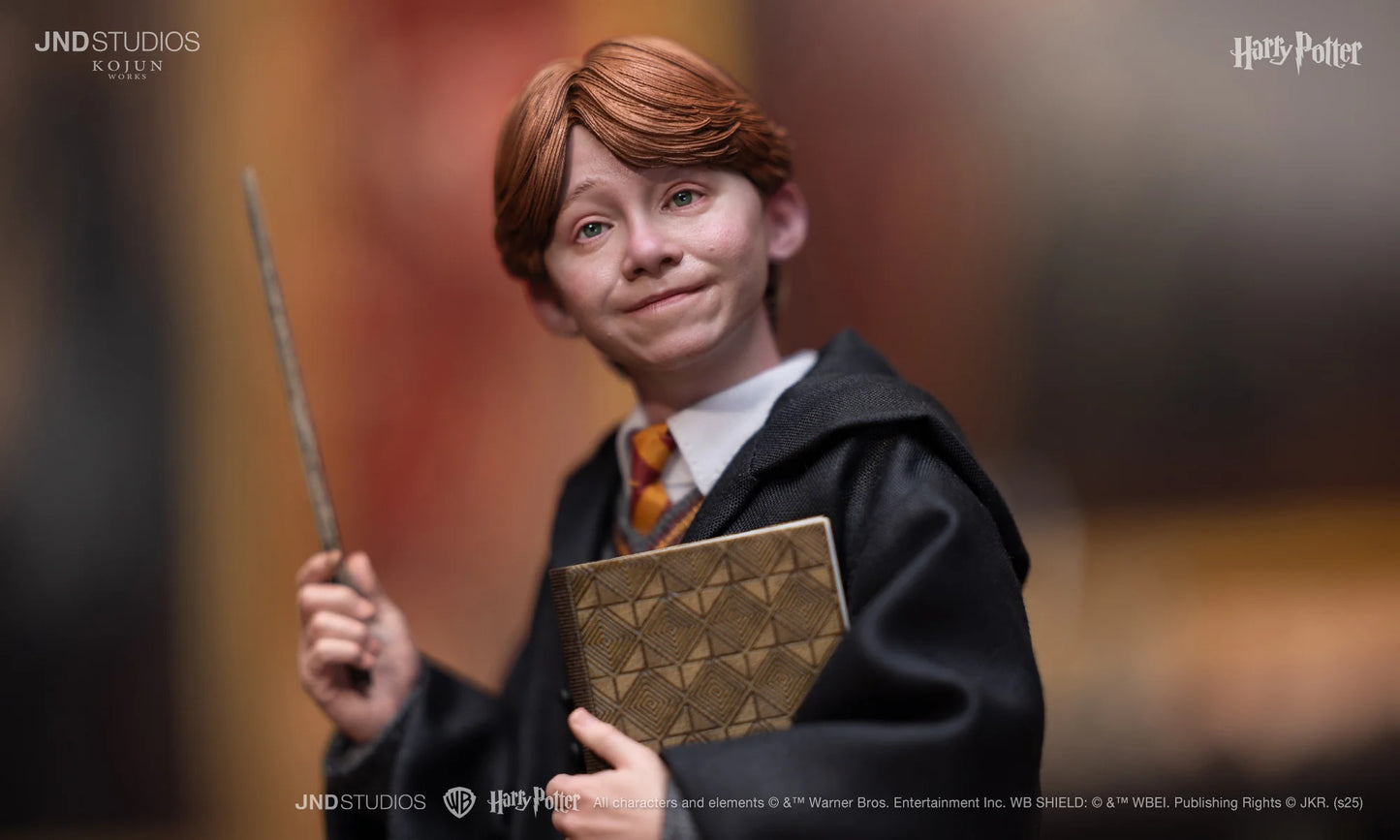 JND Studios Harry Potter Lite Version - Ron Weasley 1:6 Scale Collectible Figure