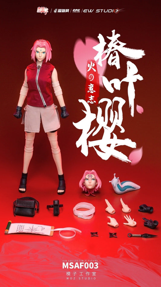 Moz Studio 1:6 Scale Sakura Figure