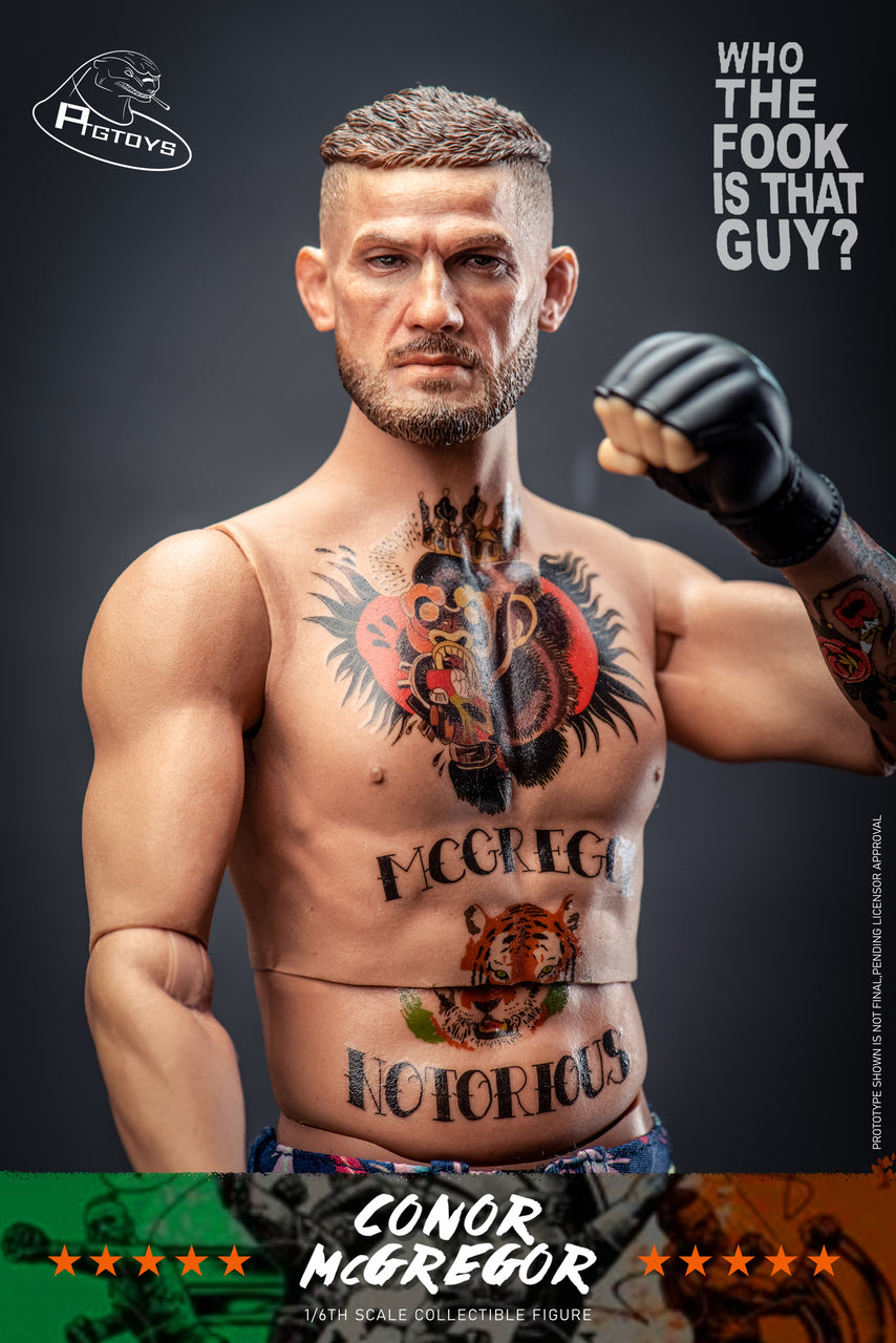 PTGTOYS 1:6 Scale Fighting King