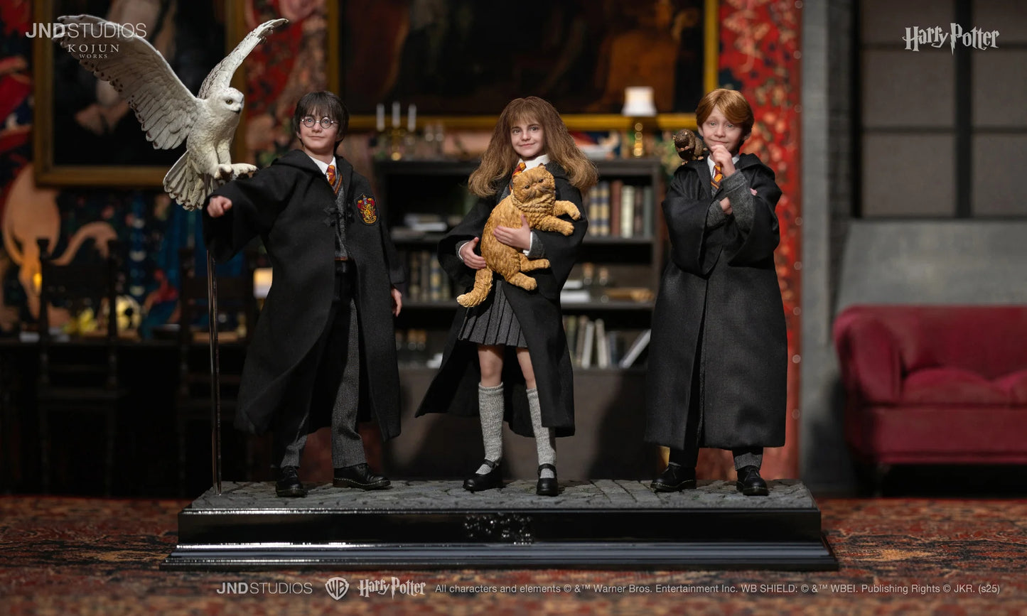 JND Studios Harry Potter (Type C) Kojun Works 1:6 Scale Collectible Figure Set