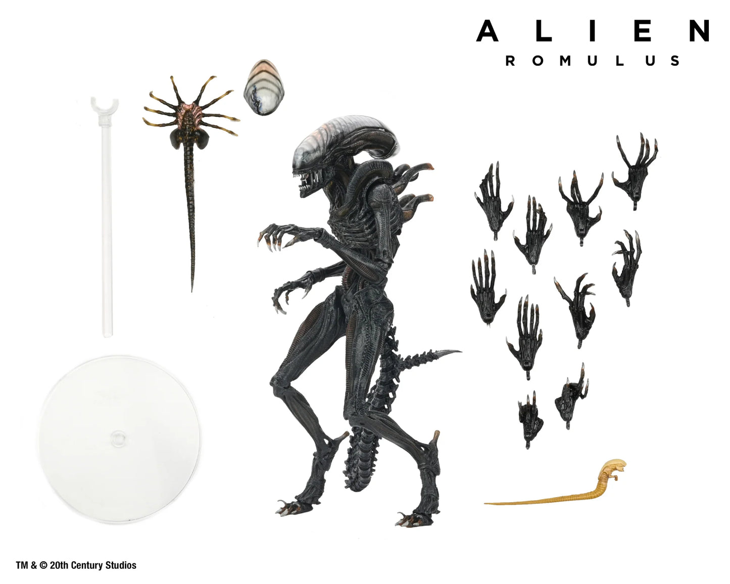 Neca Romulus Ultimate Scorched Alien Xenomorph Collectible Figure