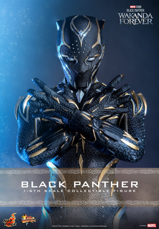 Hot Toys Black Panther: Wakanda Forever - Black Panther 1:6  Scale Collectible Figure MMS675