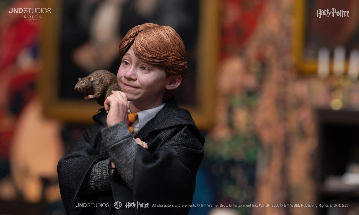 JND Studios Harry Potter Lite Version - Ron Weasley 1:6 Scale Collectible Figure