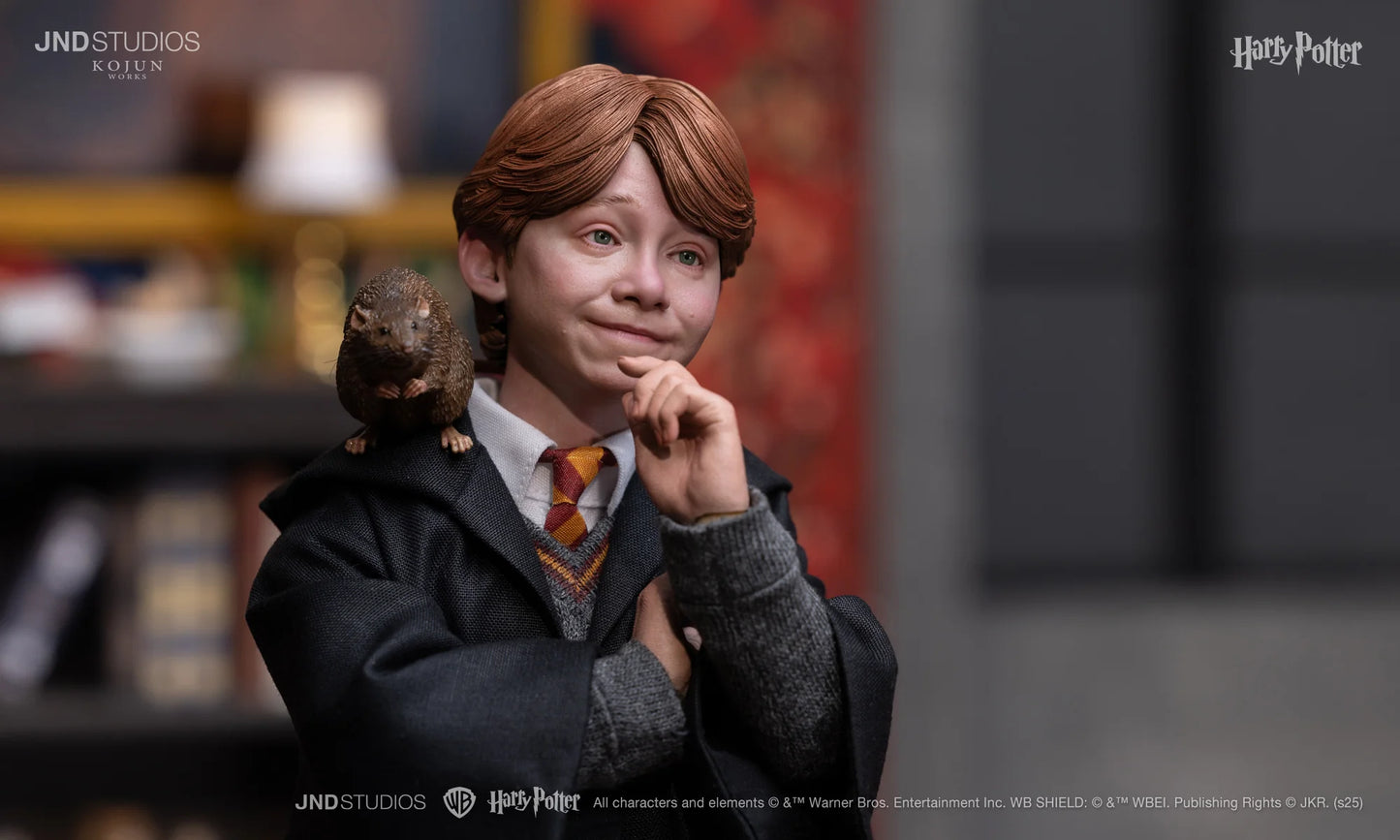 JND Studios Harry Potter Lite Version - Ron Weasley 1:6 Scale Collectible Figure