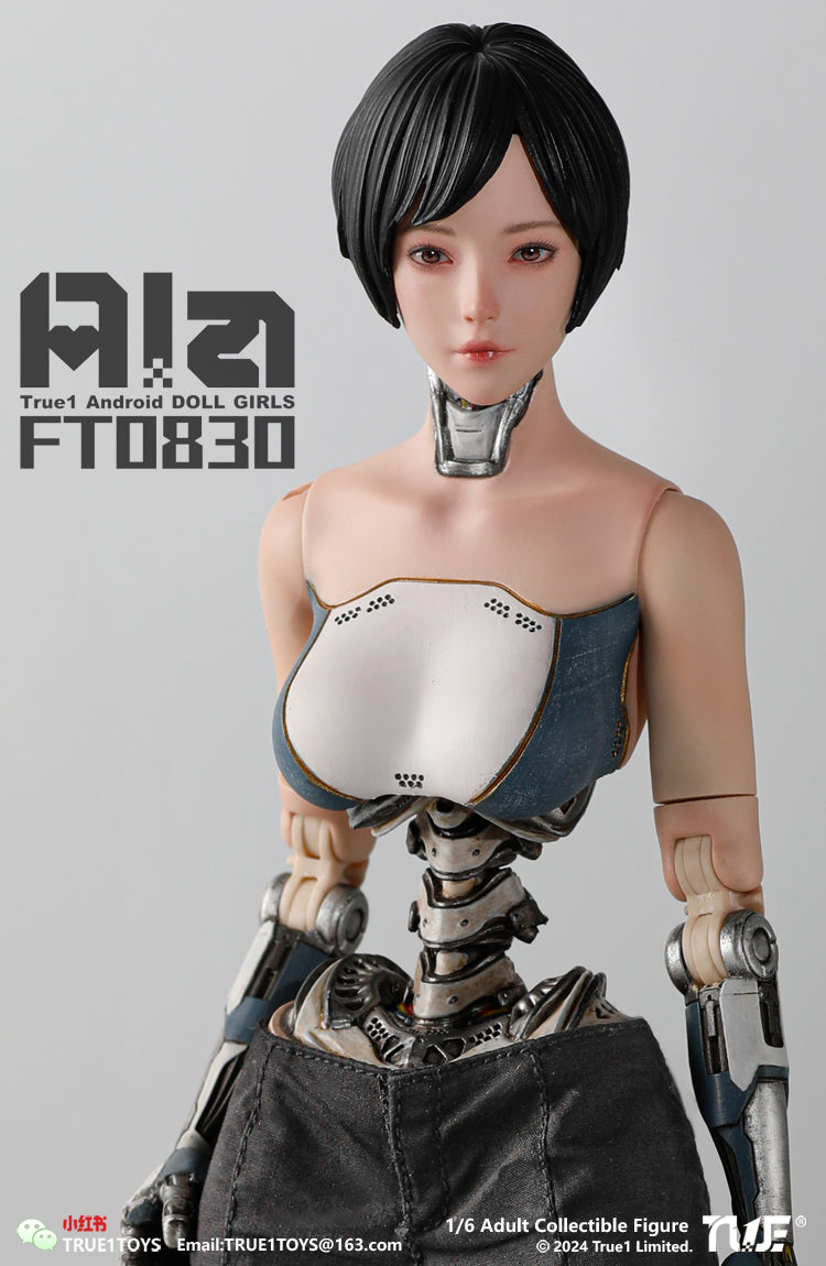 True1Toys Android Ala 1:6 Scale Collectible Figure FT0830