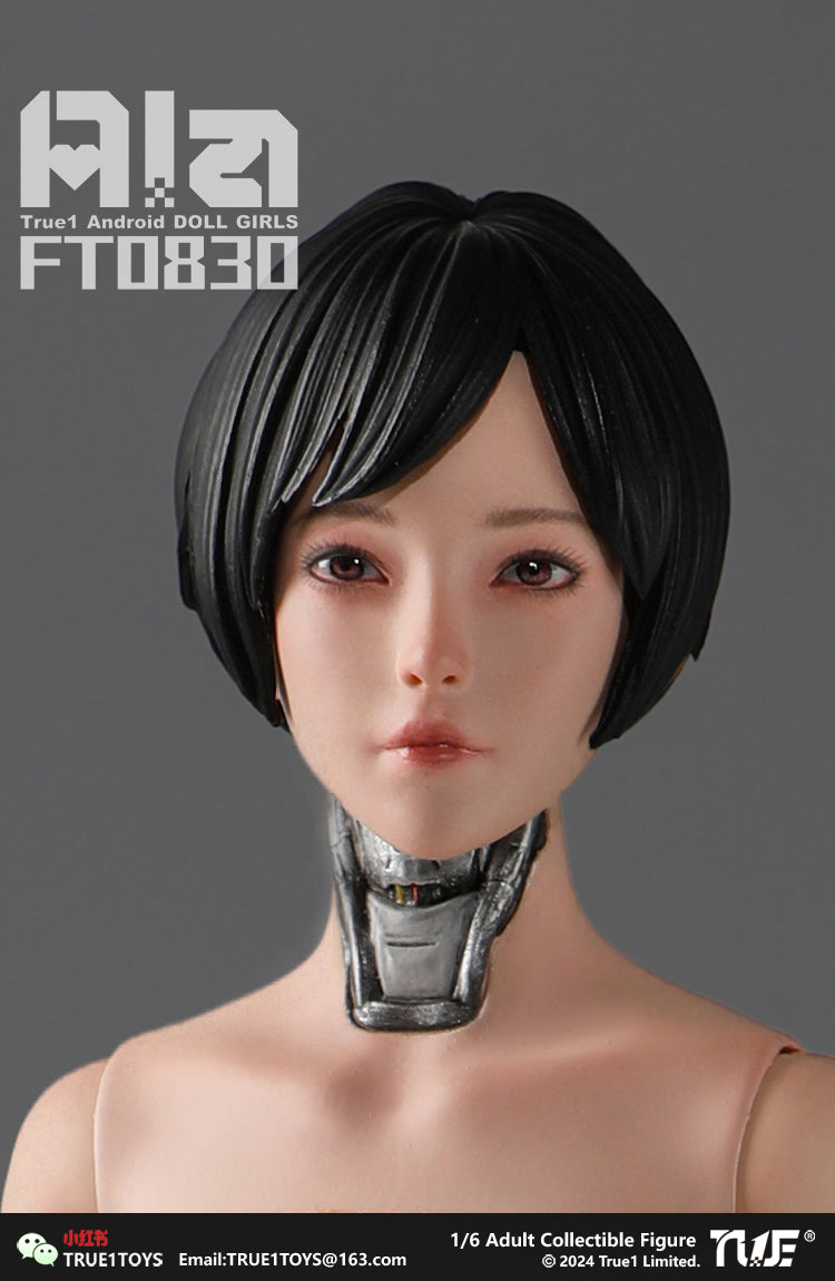 True1Toys Android Ala 1:6 Scale Collectible Figure FT0830