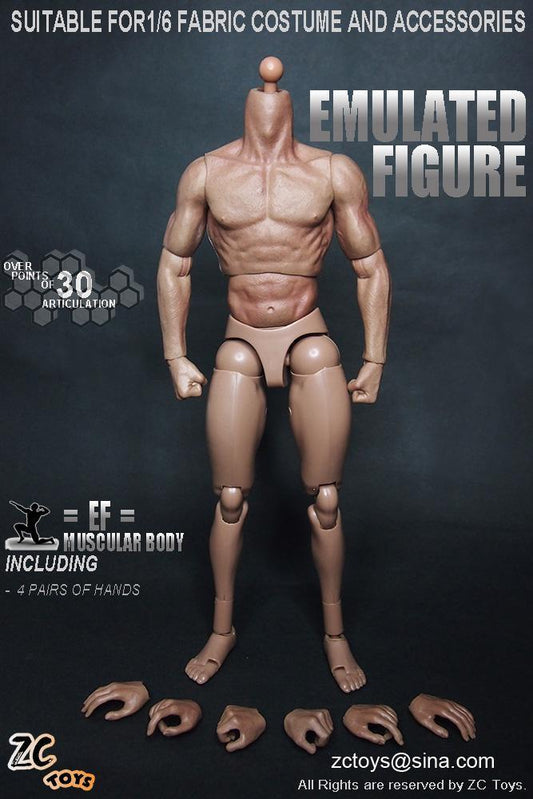 ZC Toys 1:6 Scale Body Model TTM19