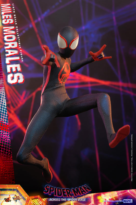 Hot Toys Spider-man: Across The Spider-Verse - Miles Morales 1:6 Scale Collectible Figure (Rebel Base Exclusive) MMS710B