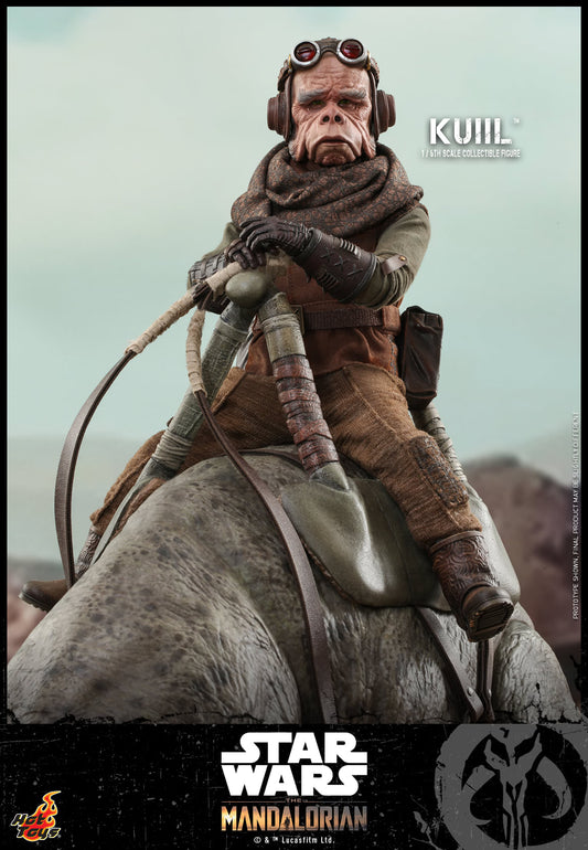 Hot Toys Star Wars: The Mandalorian™ - 1/6th scale Kuiil™ Collectible Figure TMS048